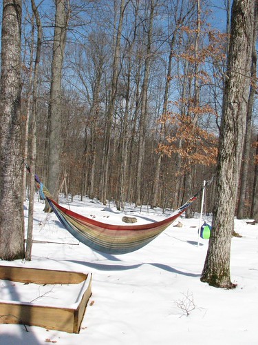 A hammock in winter