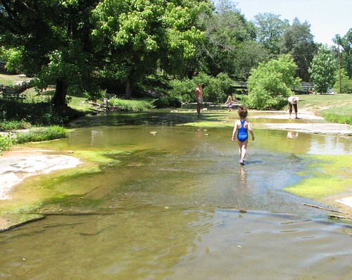 The Creek Life