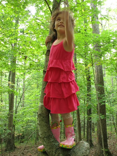 In a Tree